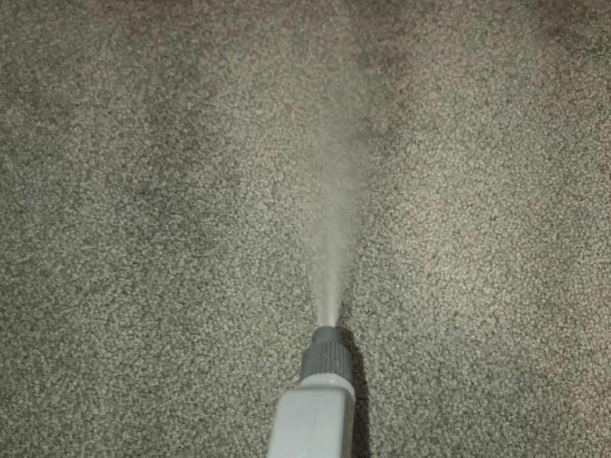 Carpet Deodorizing in Glendora, CA
