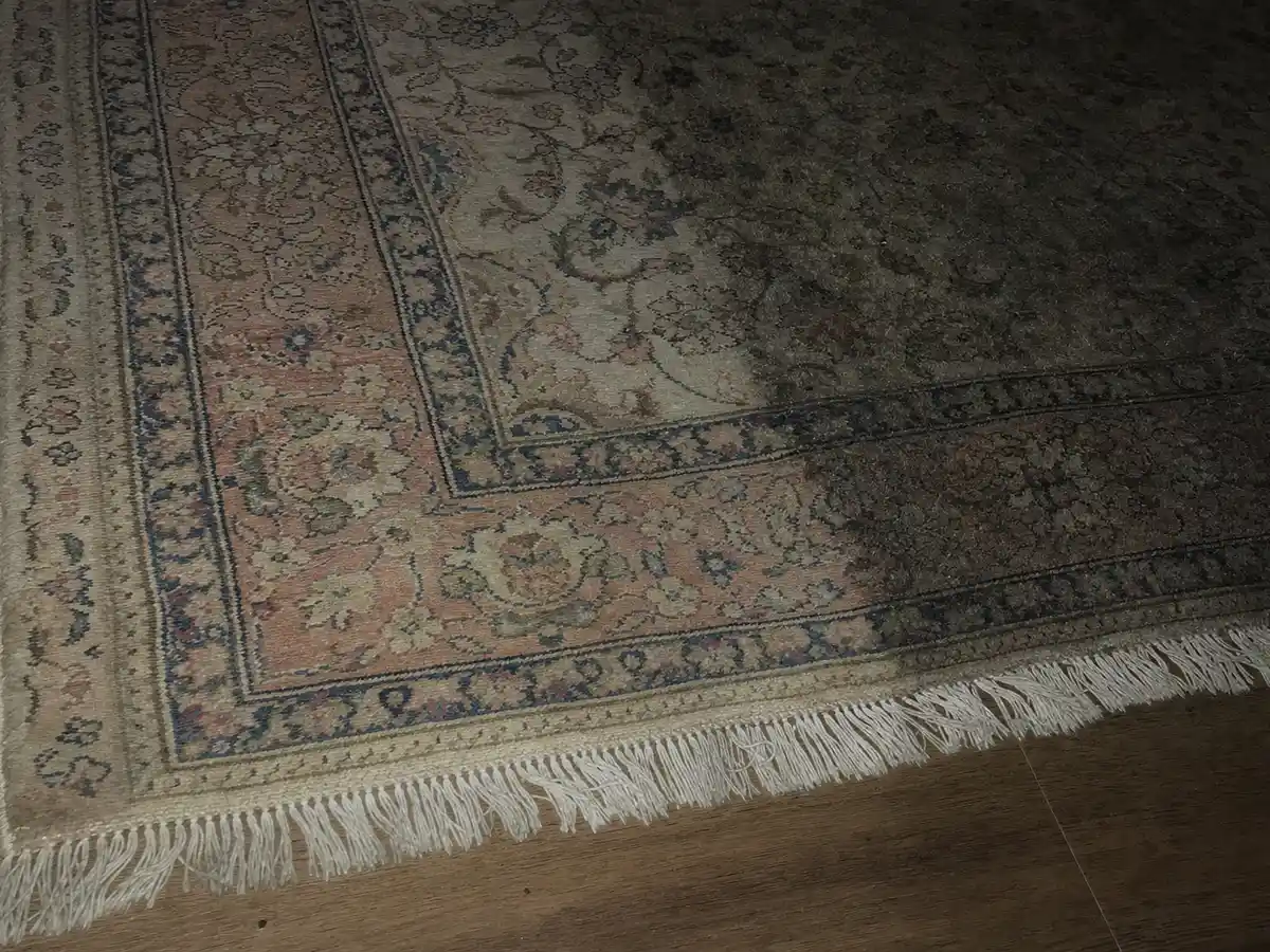 Rug Cleaning in Glendora, CA